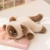 Very precious, soft and fragrant, brown Siamese cat magnetic fridge magnet, plush doll, toy table companion doll, cute and fun, ideal for gifting, magnetic plush doll, switch decoration, home cute wall-mounted style details Picture